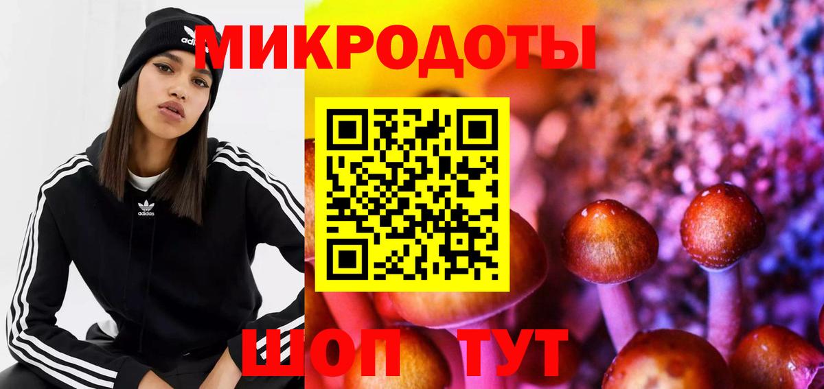 Псилоцибиновые грибы MAGIC MUSHROOMS  Вход с VPN  Белая Калитва 
